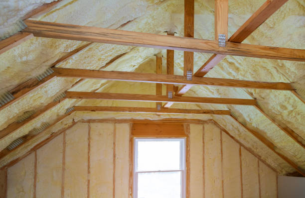 Best Home Insulation Services  in Hill N Dale, FL