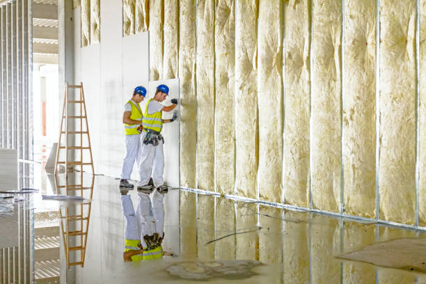 Hill N Dale, FL Insulation Contractor Company